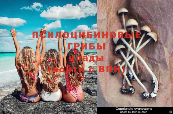 MDMA Кукмор
