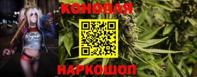 Альфа ПВП Беслан