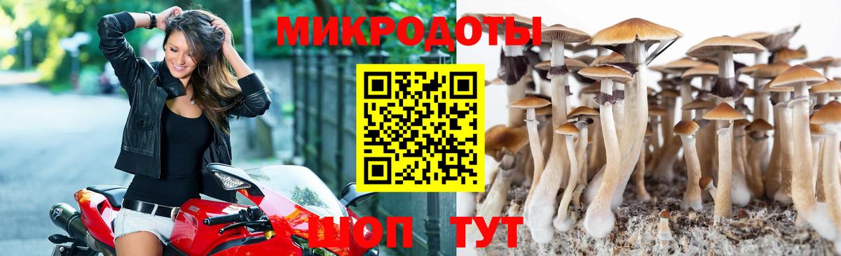 Псилоцибиновые грибы Magic Shrooms  Галлюциногенные грибы Cubensis  Иваново  Вход с VPN 