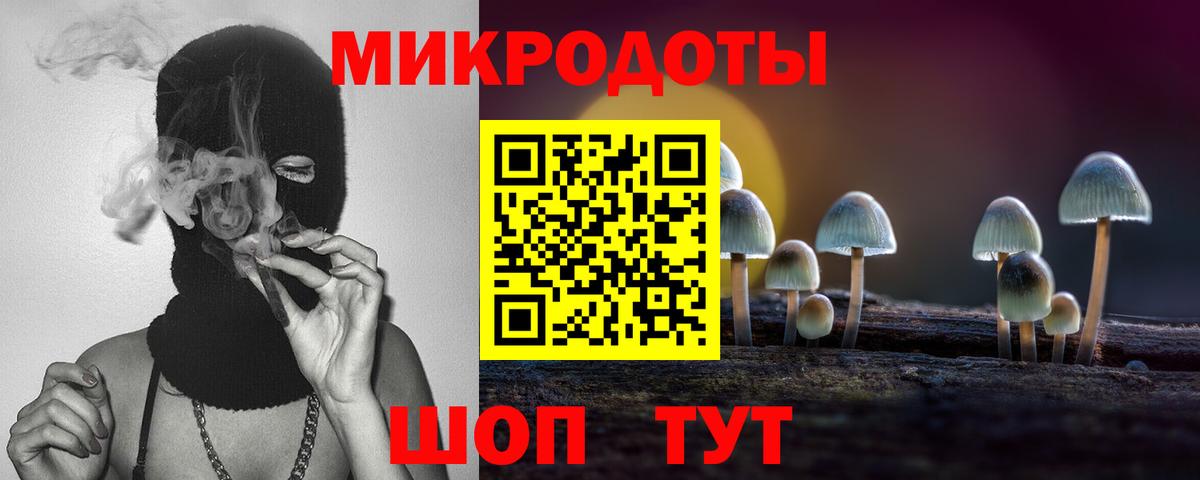 Псилоцибиновые грибы GOLDEN TEACHER Иваново