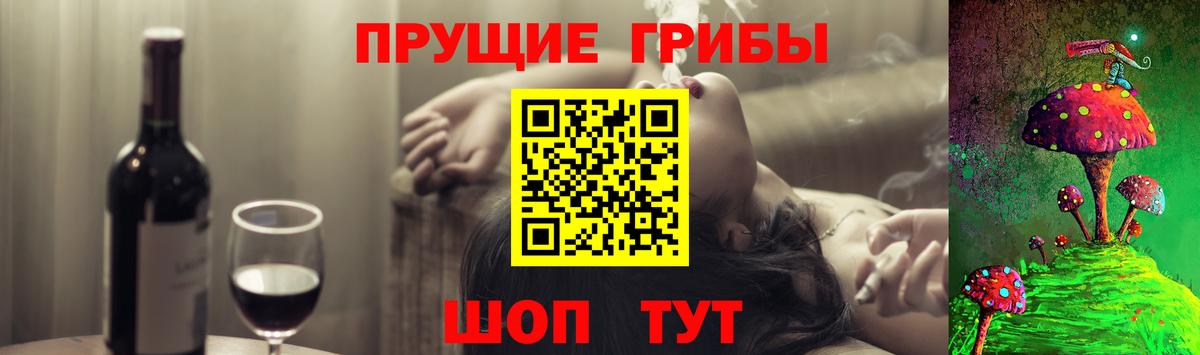 Псилоцибиновые грибы Psilocybine cubensis  Иваново 